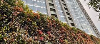 Cozy 1-bedroom Condo near Abreeza Ayala Mall with City View and Free Parking