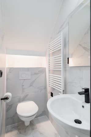 Shower, hair dryer, towels, shampoo