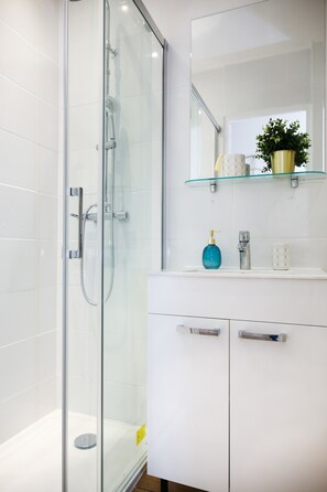 Shower, hair dryer, towels