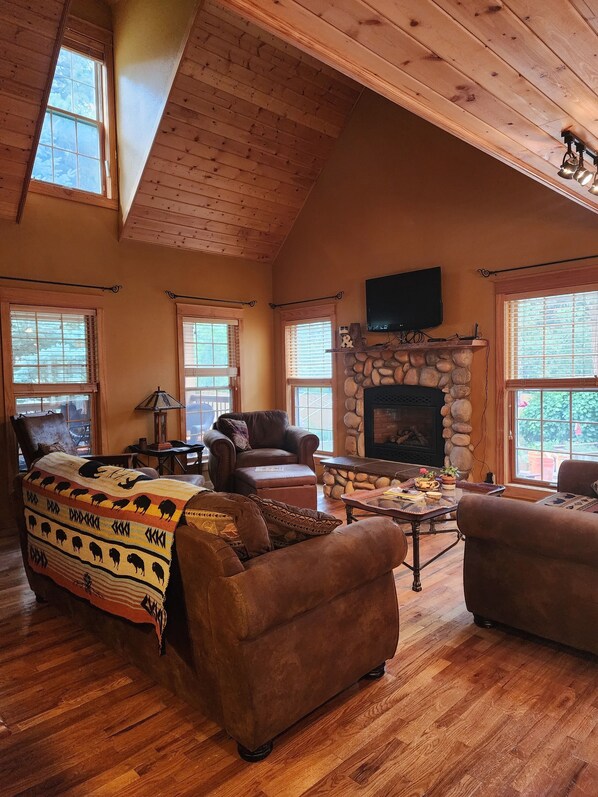 Smart TV, fireplace, DVD player, books