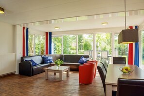 TV connectée, cheminée, lecteur de DVD