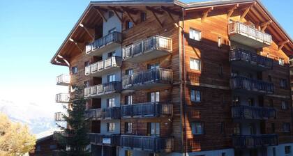 Apartment near Piste de Tracouet