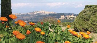 Home in the Historic Sint Nicolaasga