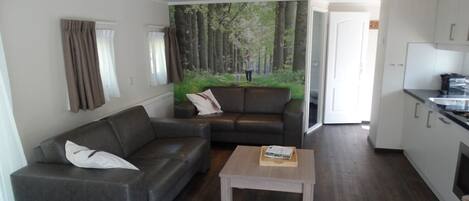 Smart-tv och dvd-spelare