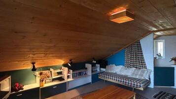 電視、壁爐、DVD 播放機