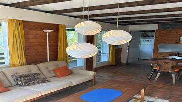 Smart TV, caminetto, lettore DVD