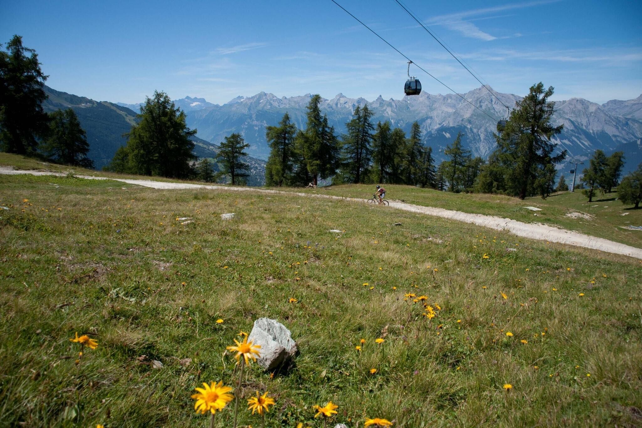 Un paysage de montagne avec un télésiège, un ciel dégagé et un sentier de terre.
