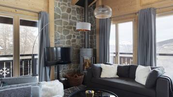 電視、壁爐、DVD 播放機