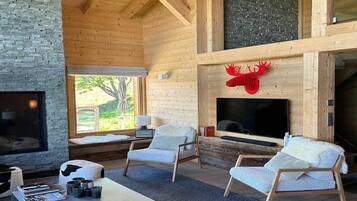 智能电视、壁炉、DVD 播放器