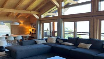 智能电视、壁炉、DVD 播放器