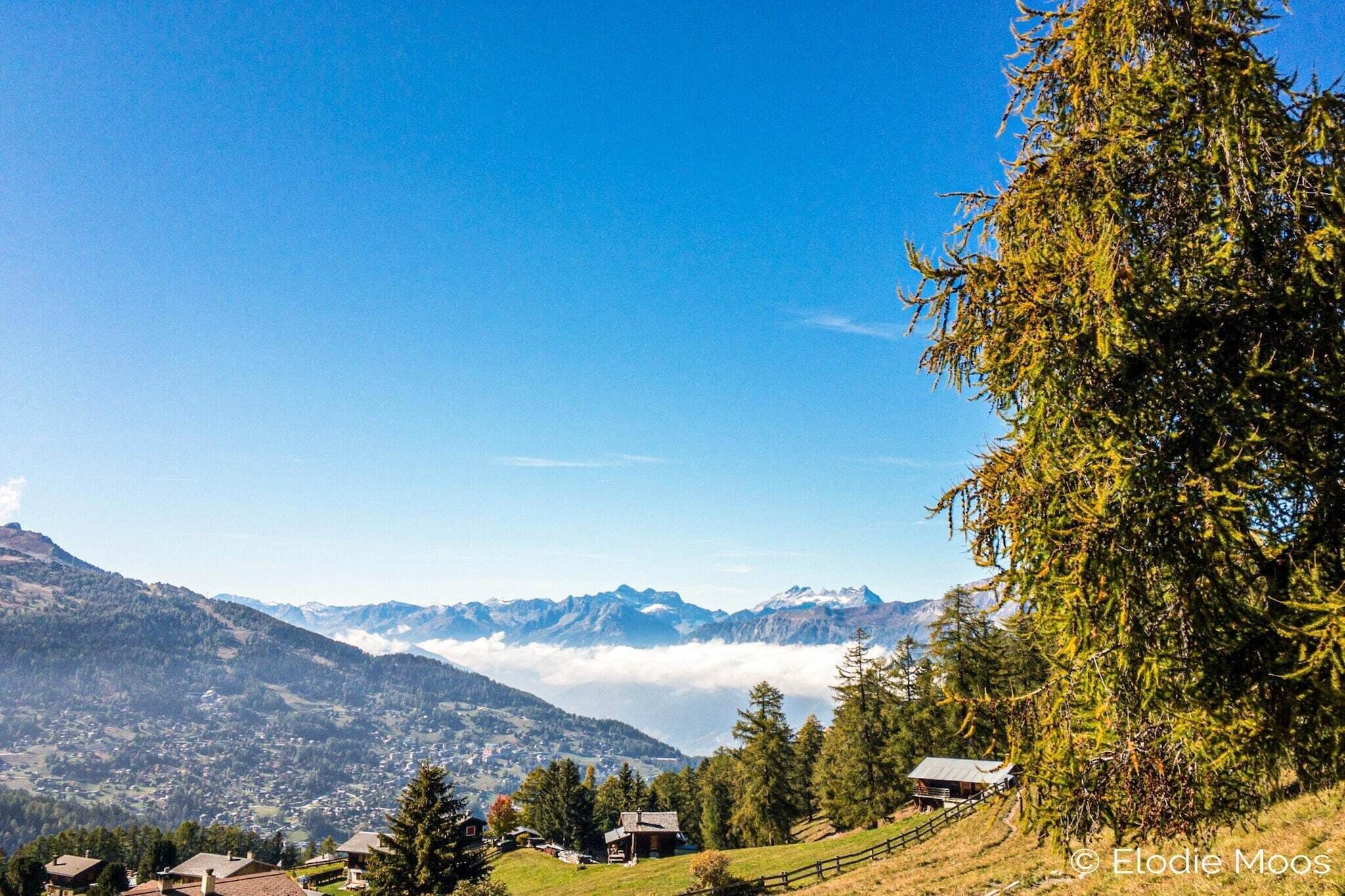 Paesaggio montuoso con case e alberi.