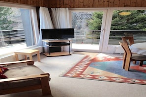 Smart TV, fireplace, DVD player