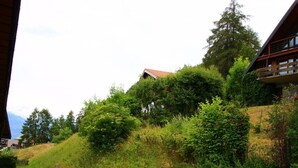 A hillside with a house surrounded by dense greenery and trees. - Apartment in Veysonnaz with Mountain Views (Veysonnaz)