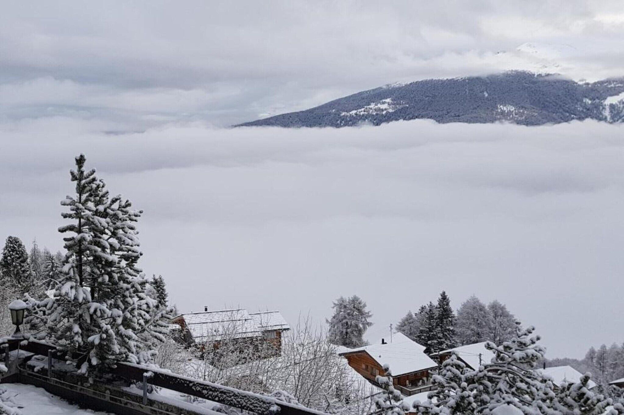 Un paysage de montagne enneigé avec des maisons et des arbres.