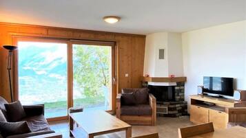 TV, fireplace, DVD player