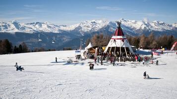 Sneeuw- en skisporten