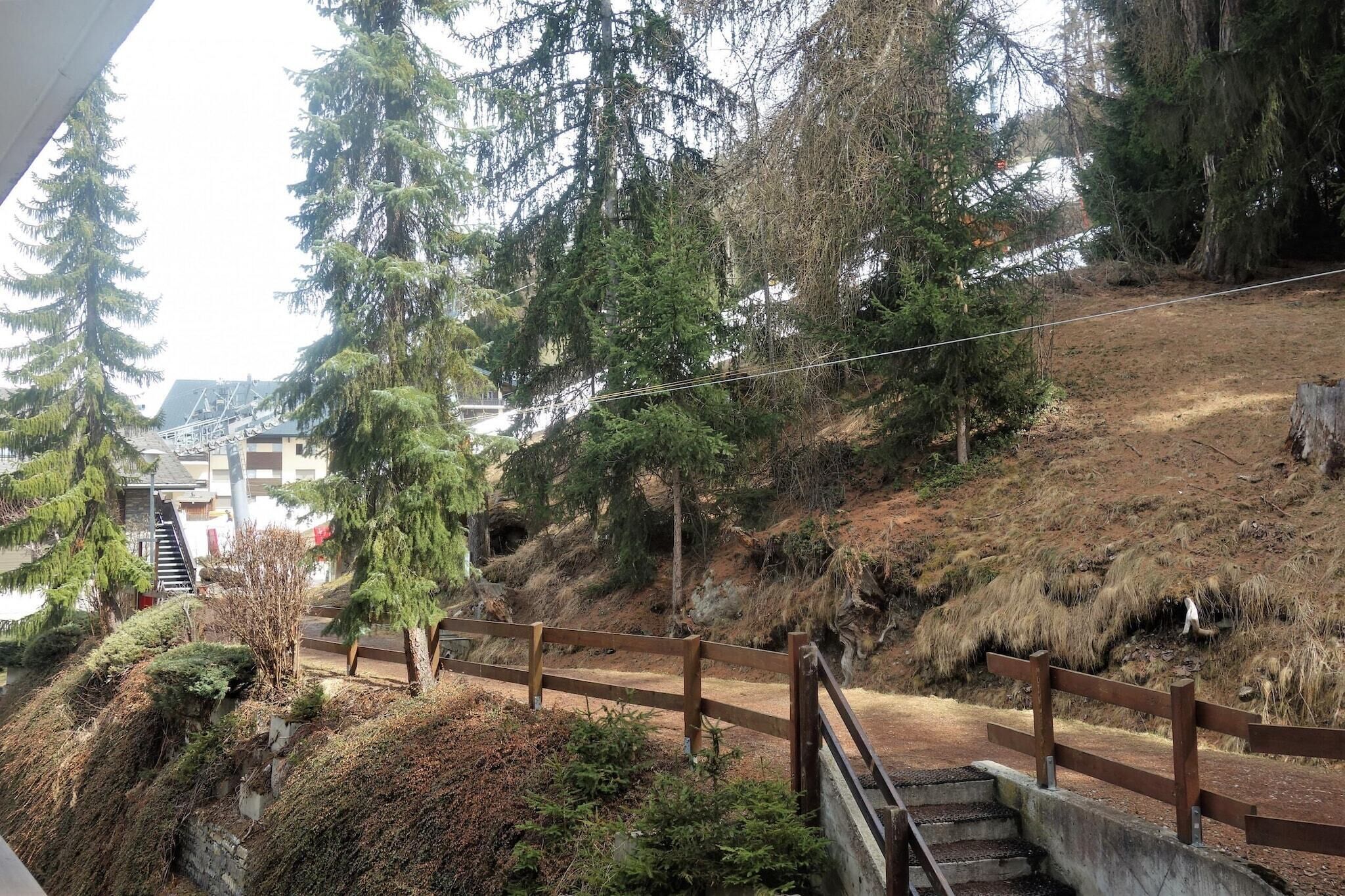 Ein Hügel mit Holzzaun, Treppe und dichter Baumvegetation.