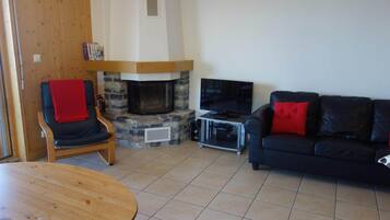 TV connectée, cheminée, lecteur de DVD