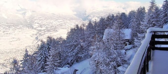 Apartment with balcony views of Nendaz