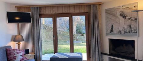 電視、壁爐、DVD 播放機