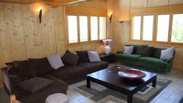 智能電視、壁爐、DVD 播放機