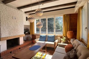 Televisión, chimenea, reproductor de DVD