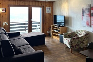 Fernseher
