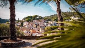 A hillside village with terraced houses, a stone pathway, and trees.