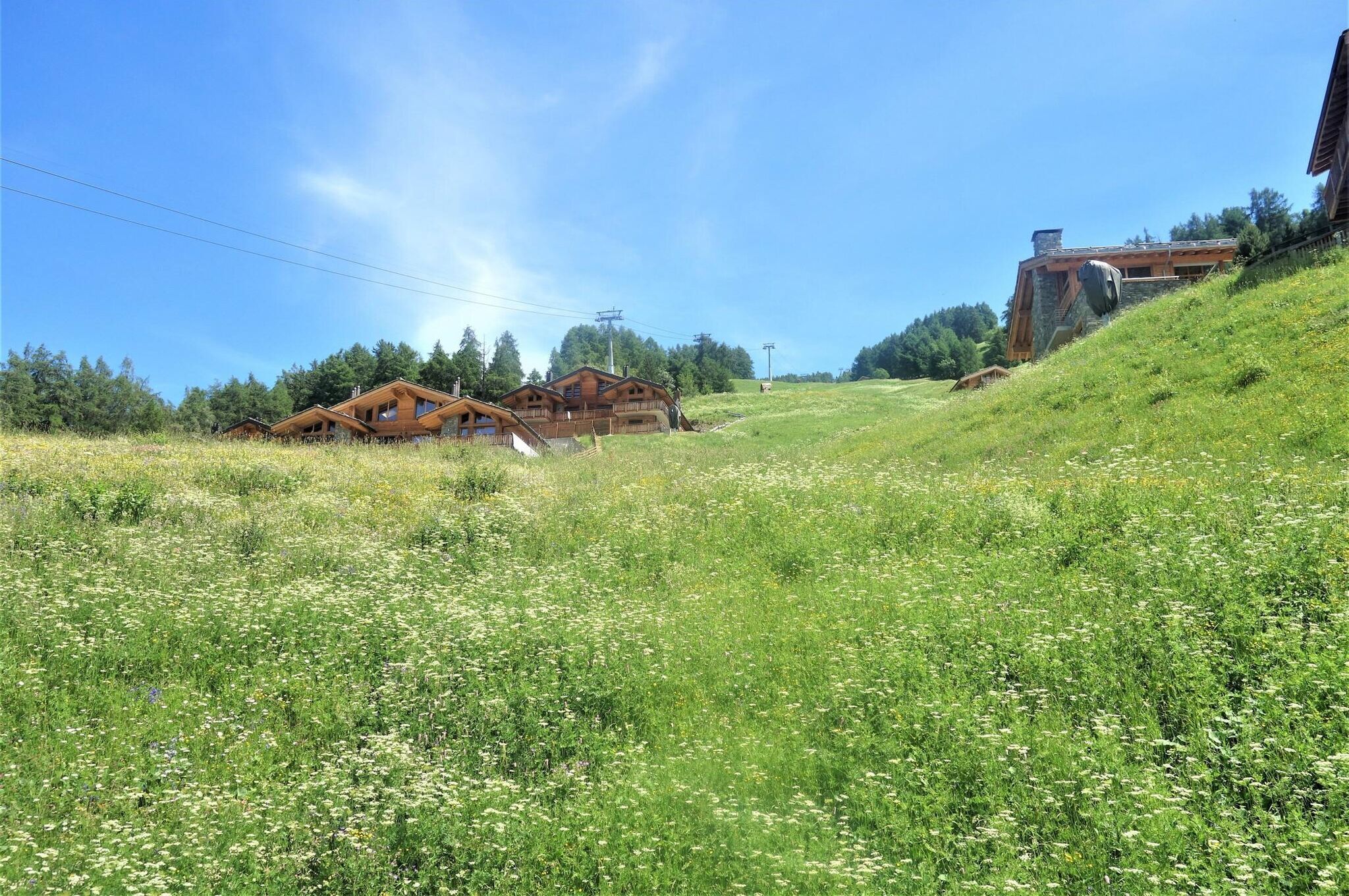 Direkte Umgebung [Sommer] (<1 km)