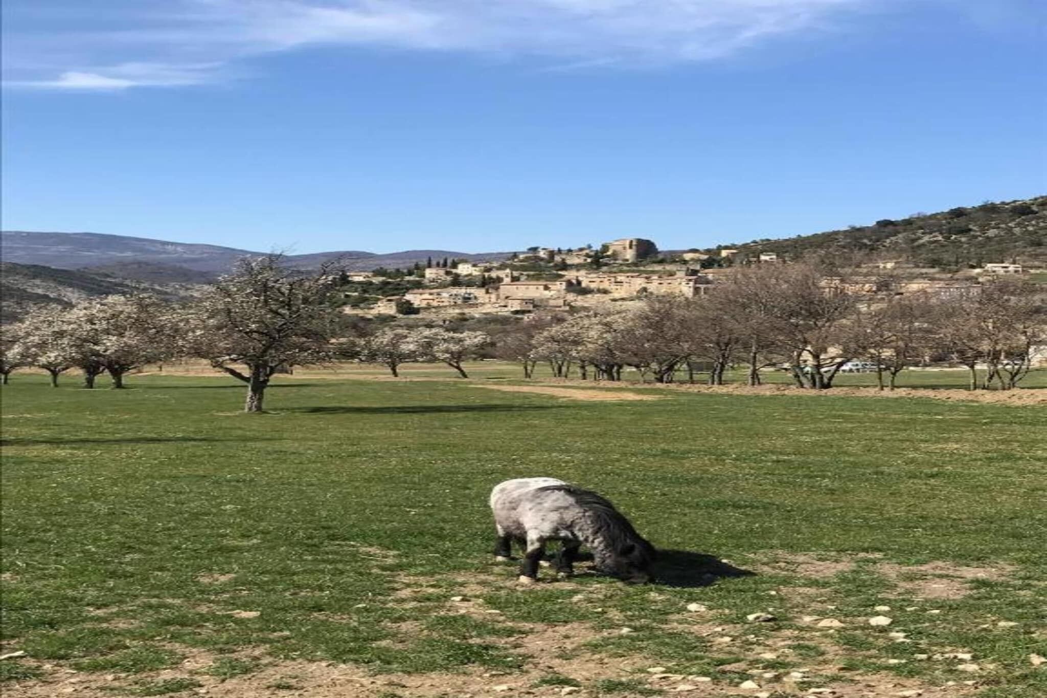 A rural landscape with a sheep grazing in a field, trees, and a hill with buildings in the background.