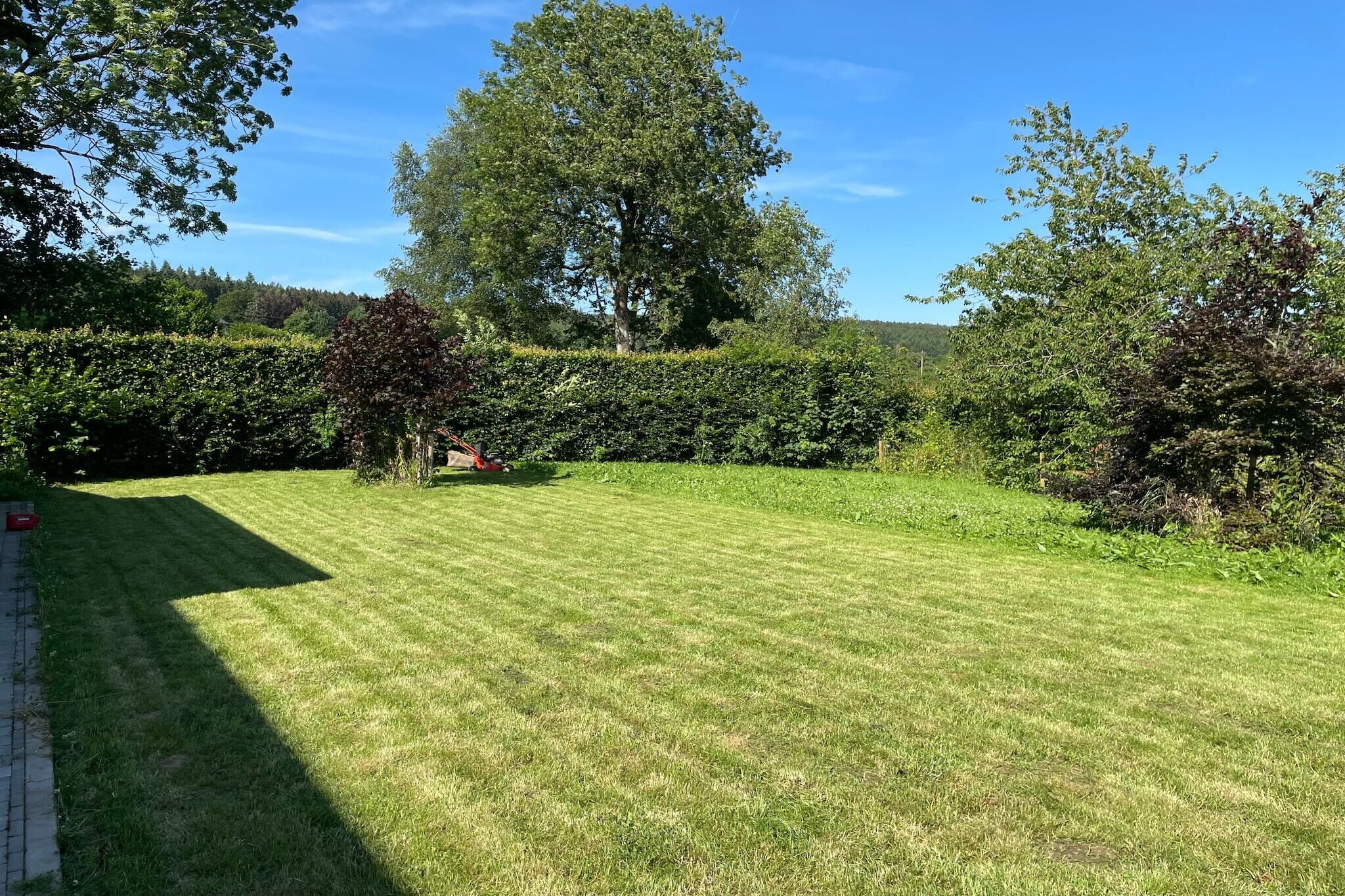 Jardin [été]