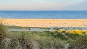 A beach with sand and sparse grass in the foreground. - Apartment in Netherlands near the Coast ('t Zand)