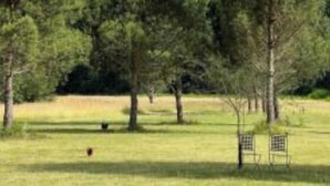 A grassy field with several trees and a bench. - Laguillotte- 3 bedrooms (Seignosse)