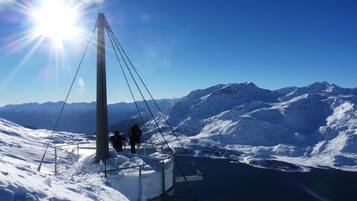 Sneeuw- en skisporten