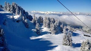 滑雪运动