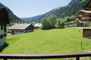 Property grounds - Apartment with 4 rooms and terrace (Châtel)