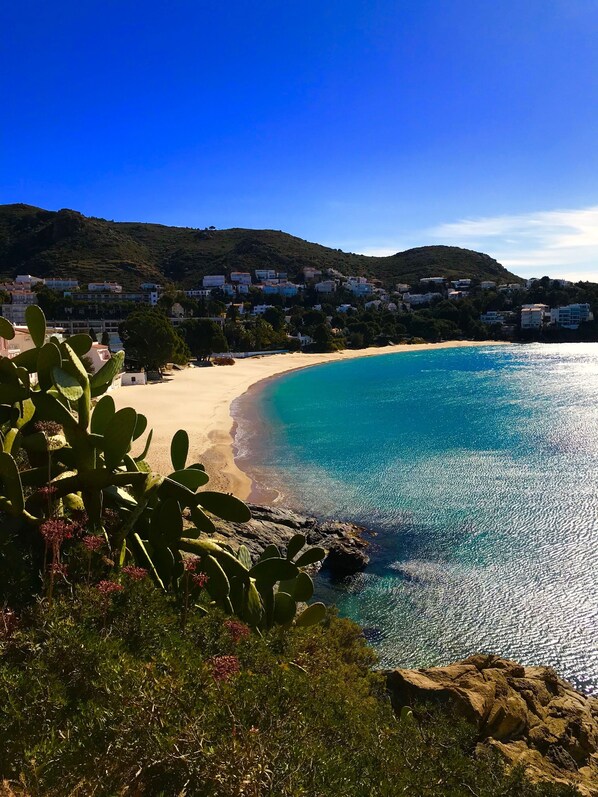Una playa cerca