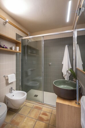Shower, hair dryer, bidet, towels