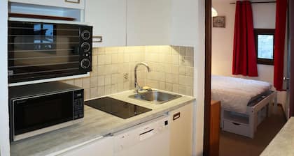 Appartement T2 cosy, accĂšs pistes, centre station, 6 couchages, balcon, animaux admis