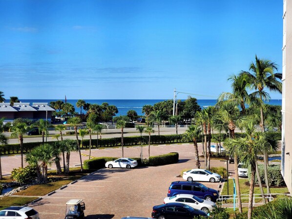 A parking lot with several cars, palm trees, and a view of the ocean.