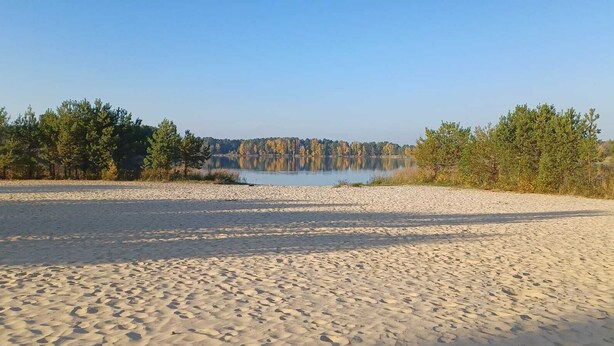 Una playa arenosa con un lago y árboles al fondo.