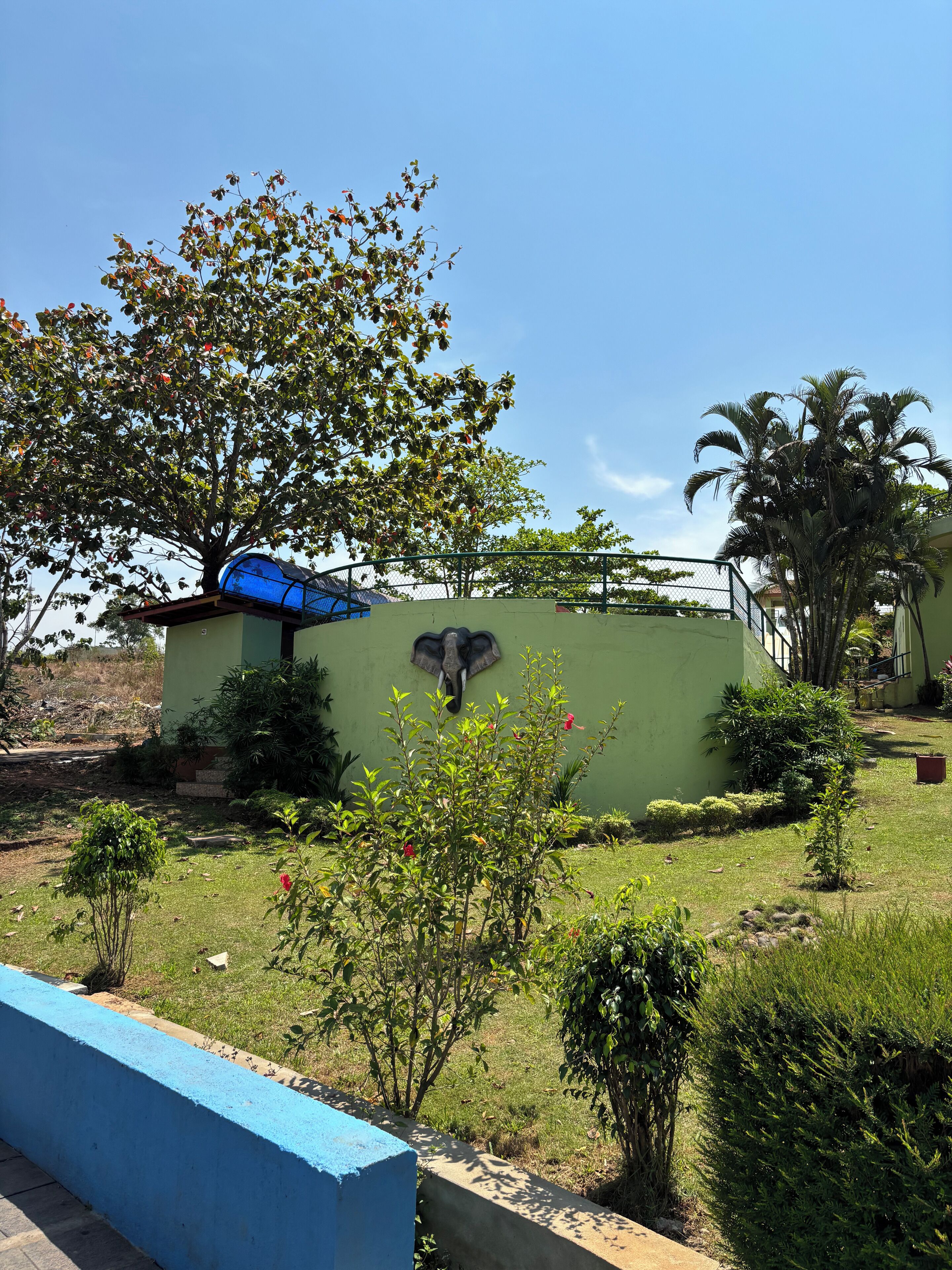 Un patio con un muro verde, barandilla azul y diversas plantas.