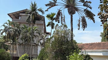 Vista al jardín