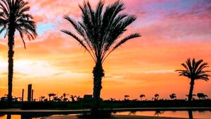 Una vista al atardecer con palmeras y un cuerpo de agua tranquilo.