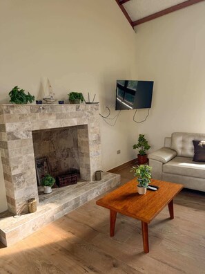 Fernseher