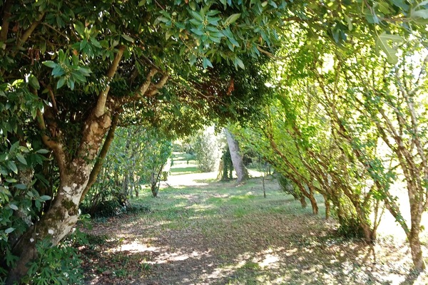 Àrea exterior de l'allotjament