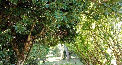 GĂźte de la Belle Ătoile