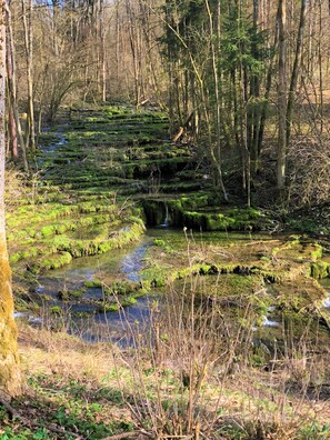 Miscellaneous - Romantic double room in a historic castle (Nürnberg)