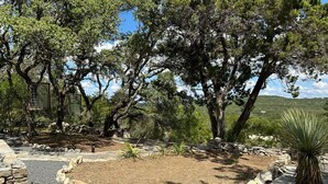 Un paysage naturel avec des arbres, un cactus et un sentier pavé de pierres.