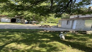 A grassy area with a picnic table, a small shed, and a dog. - Getaway to Carmaux (Carmaux)